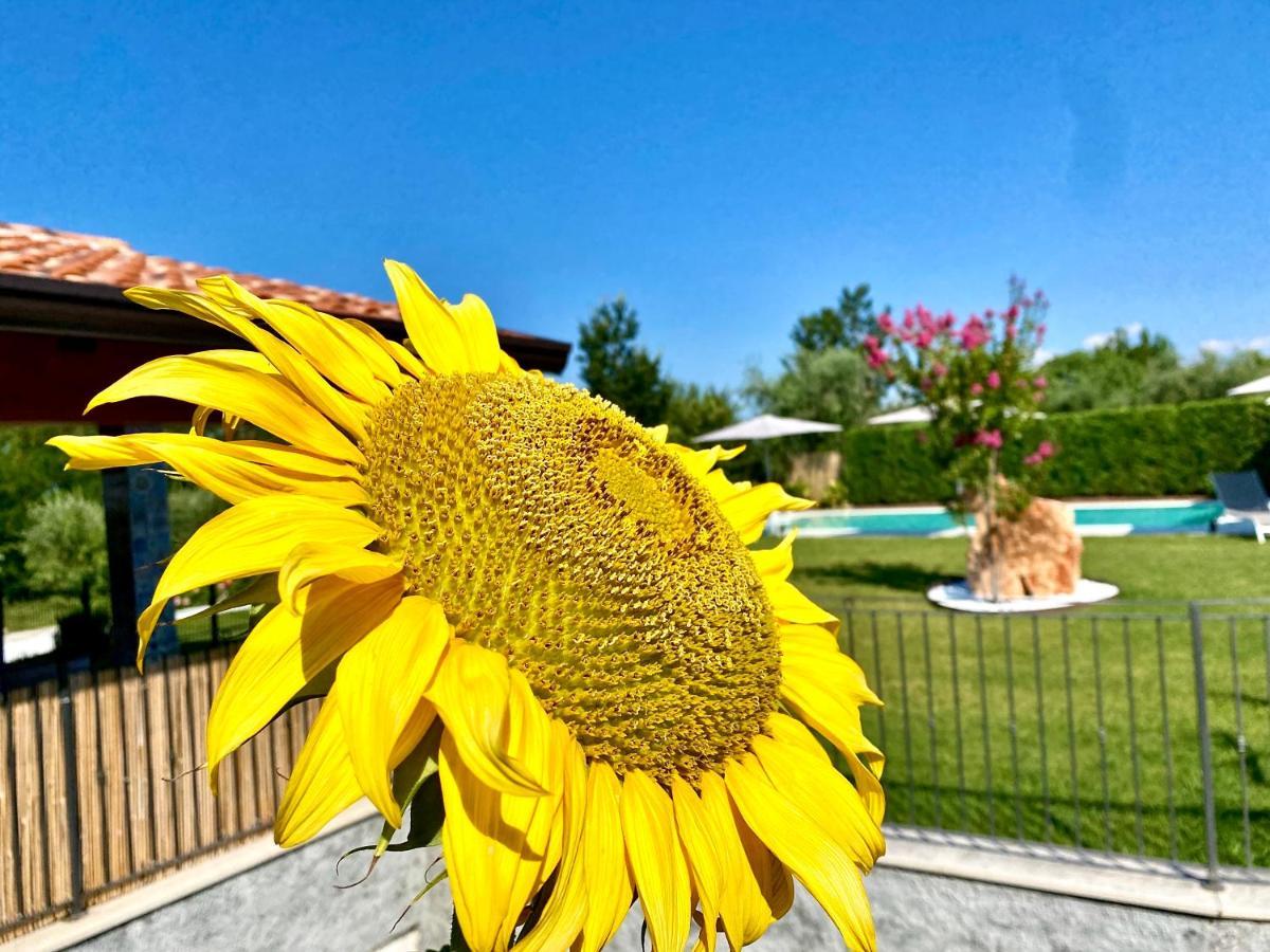 Villa Poggio Bardolino Kültér fotó
