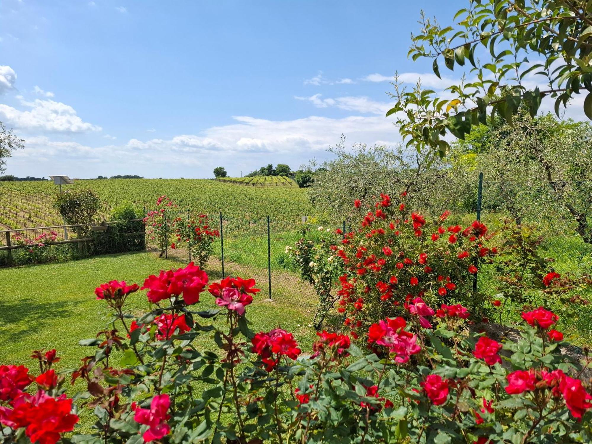 Villa Poggio Bardolino Kültér fotó