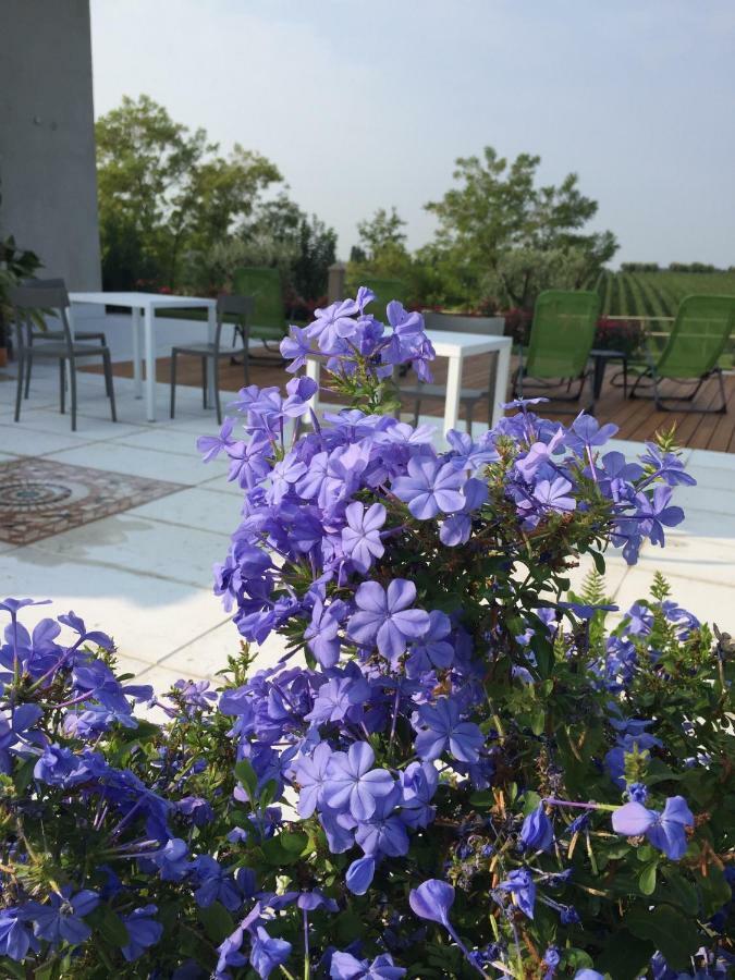 Villa Poggio Bardolino Kültér fotó